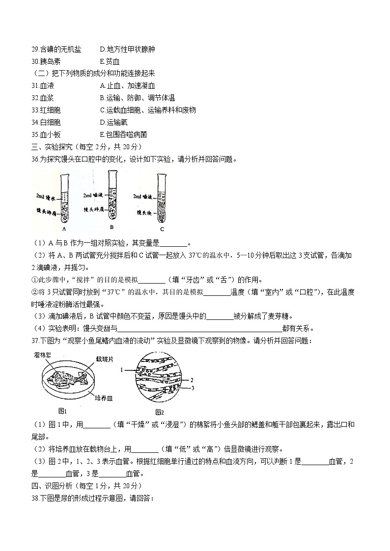 黑龙江省齐齐哈尔市龙江县2021-2022学年七年级下学期期末生物试题(word版含答案)03