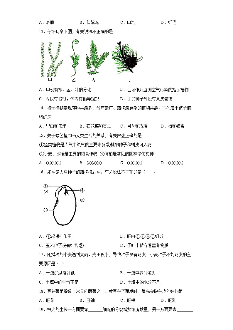 陕西省咸阳市秦都区2021-2022学年七年级上学期期末生物试题(word版含答案)03