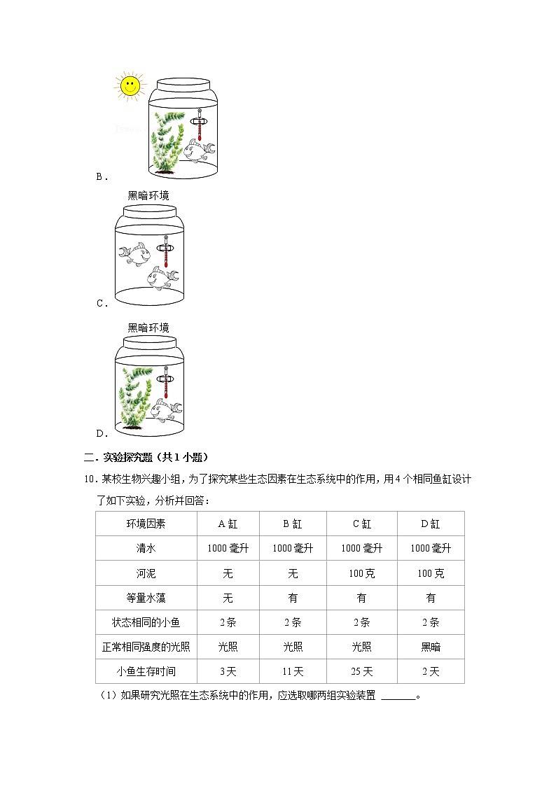 人教新版生物七年级上册《生物与环境的关系》课件+教案+练习03