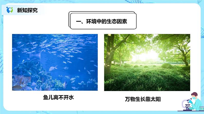 人教新版生物七年级上册《生物与环境的关系》课件+教案+练习08