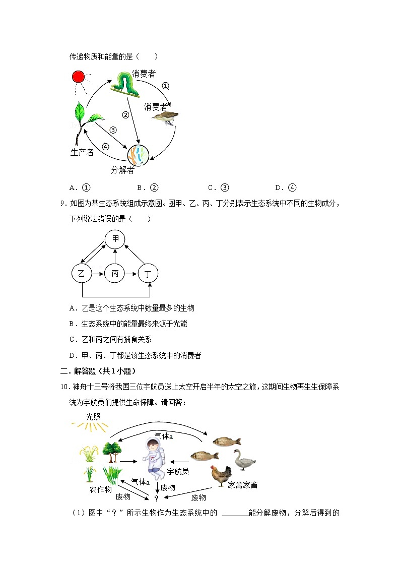 人教新版生物七年级上册《生物与环境组成生态系统》课件+教案+练习03