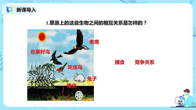 人教新版生物七年级上册《生物与环境组成生态系统》课件+教案+练习03