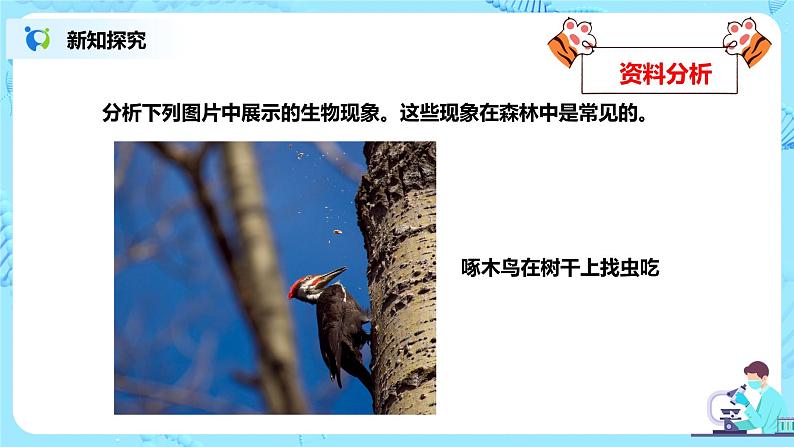 人教新版生物七年级上册《生物与环境组成生态系统》课件+教案+练习07