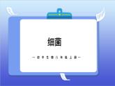 4.2《细菌》课件+教案