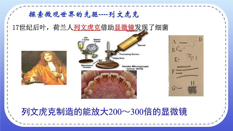 4.2《细菌》课件+教案05