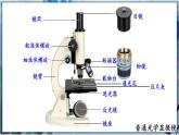 人教版七上生物2.1.1《练习使用显微镜》课件+教案+视频素材
