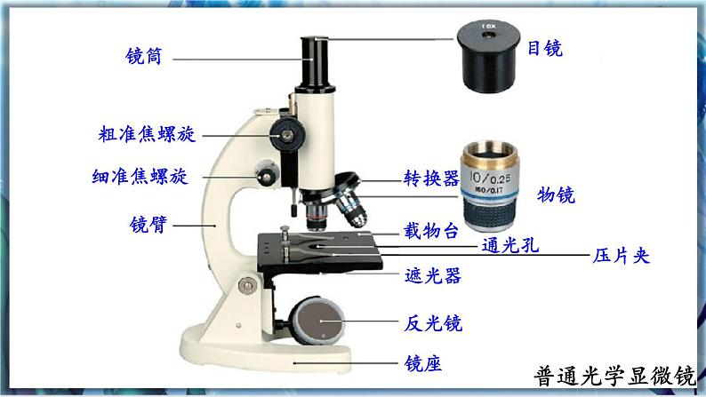 人教版七上生物2.1.1《练习使用显微镜》课件+教案+视频素材05