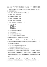 广东省湛江市廉江市2021-2022学年七年级下学期期末生物试卷(word版含答案)