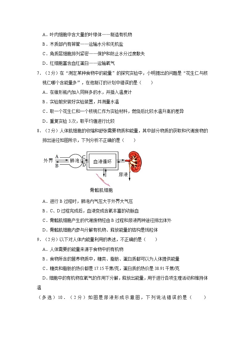 广东省湛江市廉江市2021-2022学年七年级下学期期末生物试卷(word版含答案)02