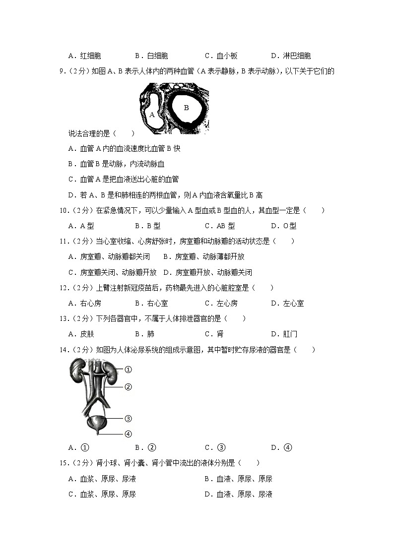 湖南省衡阳市耒阳市2021-2022学年七年级下学期期末生物试卷(word版含答案)02