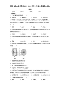 河北省唐山市乐亭县2021-2022学年七年级上学期期末生物试题(word版含答案)