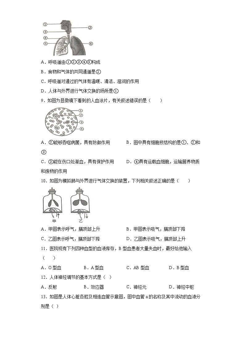 吉林省通化市梅河口市2021-2022学年七年级下学期期末生物试题(word版含答案)02