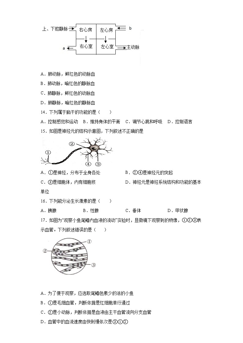 吉林省通化市梅河口市2021-2022学年七年级下学期期末生物试题(word版含答案)03