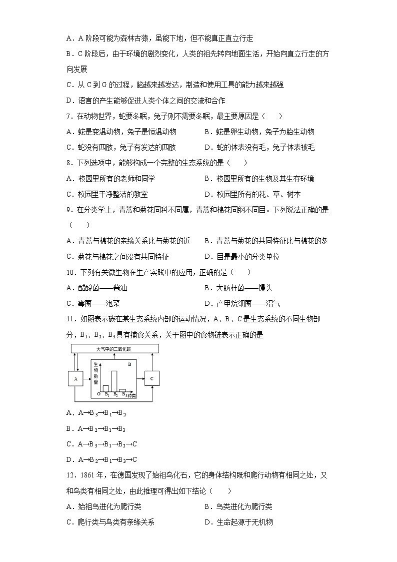 四川省巴中市2021-2022学年八年级下学期期末生物试题(word版含答案)02
