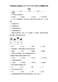 河南省周口市鹿邑县2021-2022学年七年级上学期期末生物试题(word版含答案)