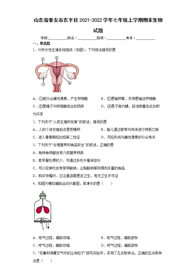 山东省泰安市东平县2021-2022学年七年级上学期期末生物试题(word版含答案)01