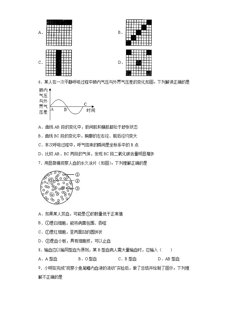 山东省泰安市东平县2021-2022学年七年级上学期期末生物试题(word版含答案)02