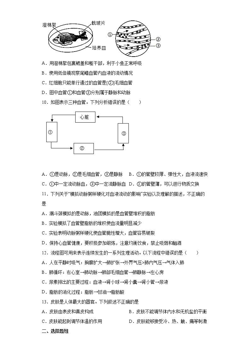 山东省泰安市东平县2021-2022学年七年级上学期期末生物试题(word版含答案)03