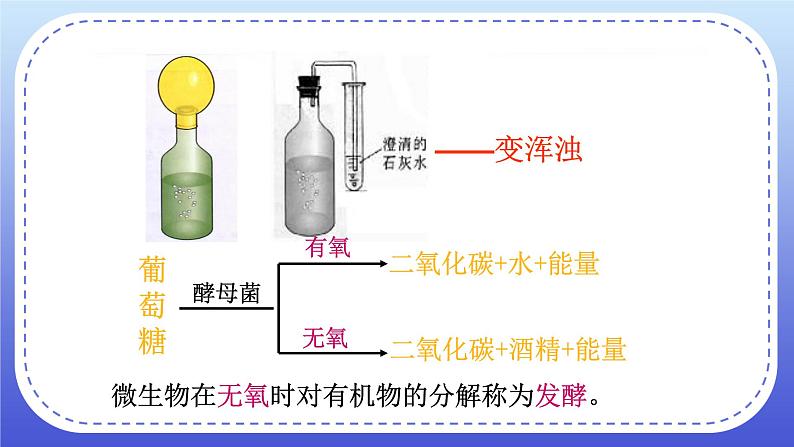 4.5《人类对细菌真菌的利用》课件+教案03