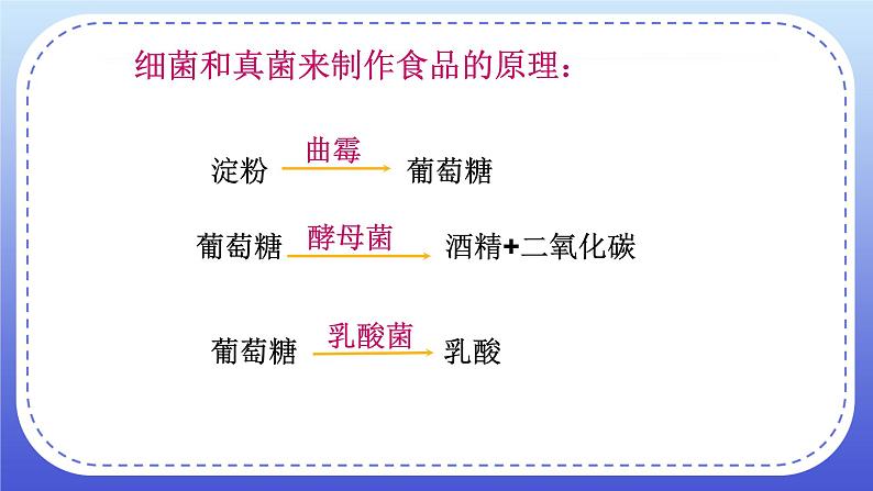 4.5《人类对细菌真菌的利用》课件+教案06