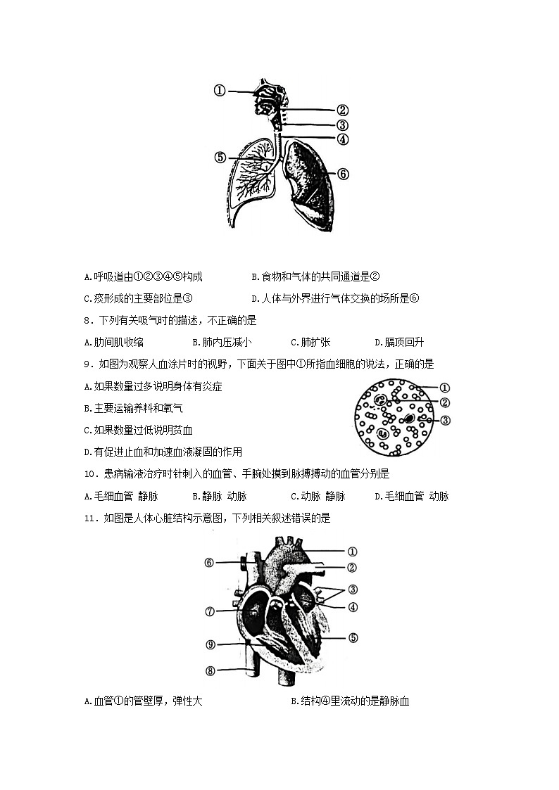 河南省许昌市2021-2022学年七年级下学期期末生物试题(word版含答案)02