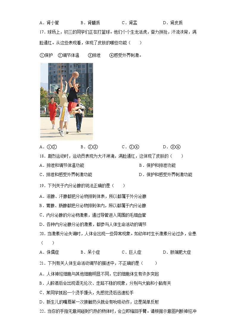 安徽省滁州市定远县九梓学校2021-2022学年七年级下学期期末考试生物试题(word版含答案)03
