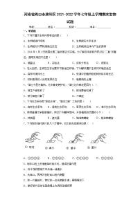 河南省周口市淮阳区2021-2022学年七年级上学期期末生物试题(word版含答案)