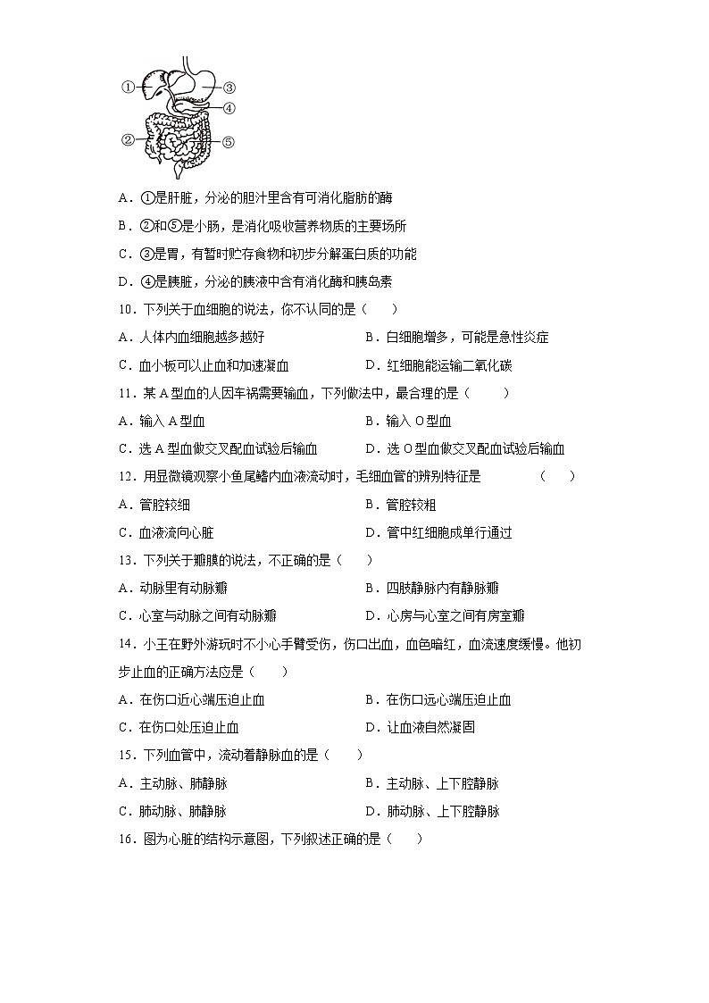河北省保定市竞秀区2021-2022学年七年级下学期期末生物试题(word版含答案)第2页