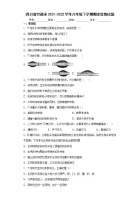 四川省甘孜州2021-2022学年八年级下学期期末生物试题(word版含答案)