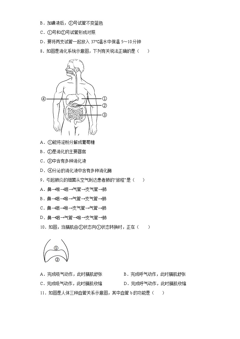 河北省唐山市丰南区2021-2022学年七年级下学期期末生物试题(word版含答案)第2页