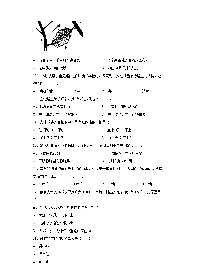 河北省唐山市丰南区2021-2022学年七年级下学期期末生物试题(word版含答案)第3页