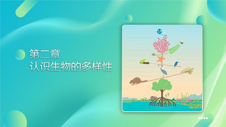 第二章《认识生物的多样性》课件+教案01