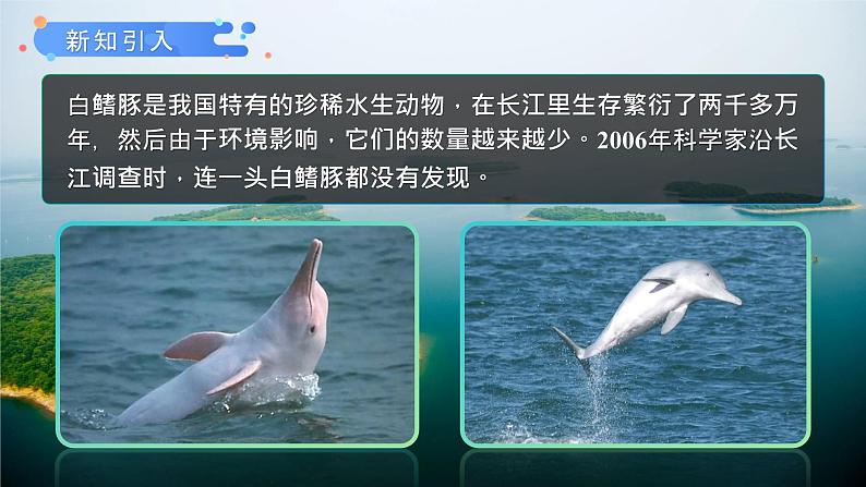 第三章《保护生物的多样性》课件+教案04