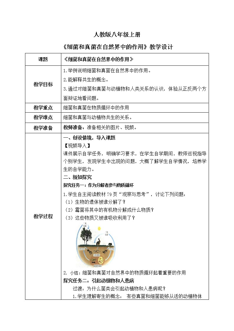 4.4《细菌和真菌在自然界中的作用》课件+教案01