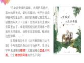 1.1.2調(diào)查周邊環(huán)境中的生物    課件   人教版生物七年級上冊