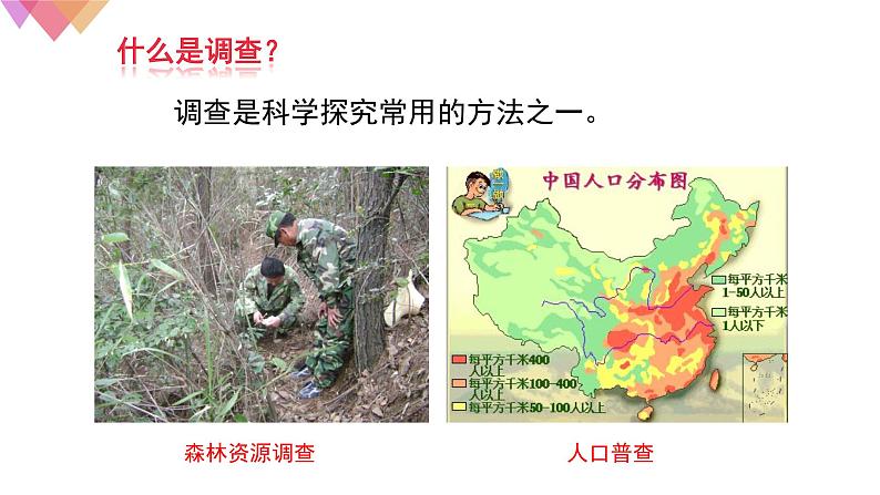 1.1.2调查周边环境中的生物    课件   人教版生物七年级上册第7页