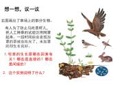 1.2.2生物与环境组成生态系统课件   人教版七年级生物上册