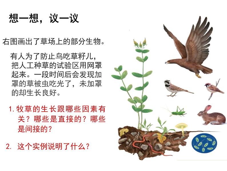 1.2.2生物与环境组成生态系统课件   人教版七年级生物上册03