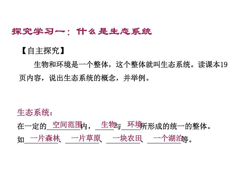 1.2.2生物与环境组成生态系统课件   人教版七年级生物上册05