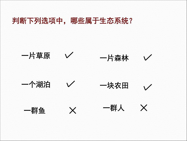 1.2.2生物与环境组成生态系统课件   人教版七年级生物上册07