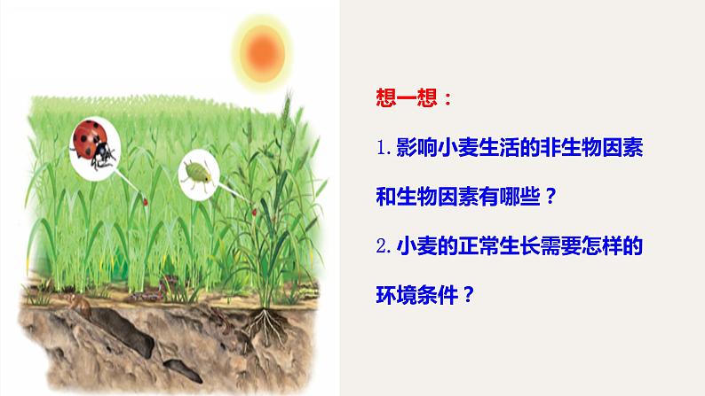 1.2.1生物与环境的关系 课件   人教版生物七年级上册06