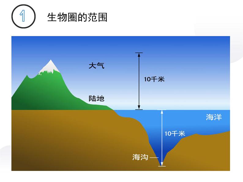 1.2.3生物圈是最大的生态系统课件     人教版七年级上册+第4页