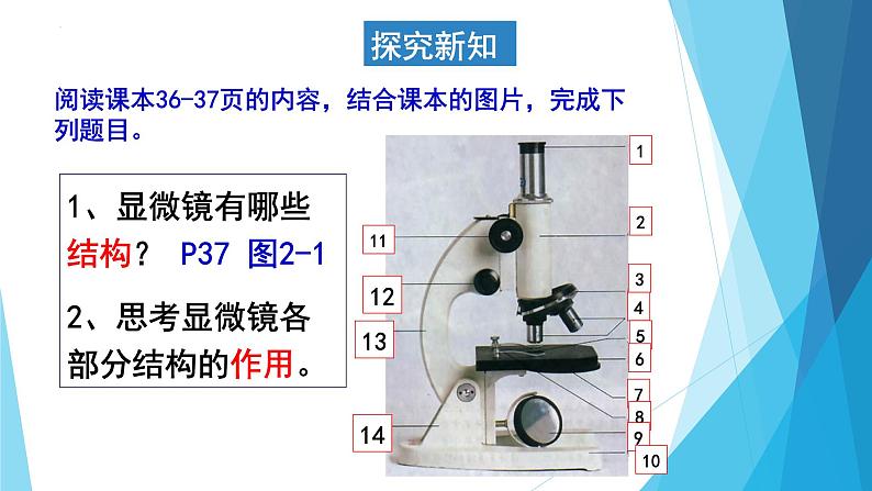 2.1.1练习使用显微镜课件    人教版七年级生物上册03