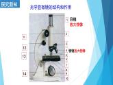 2.1.1练习使用显微镜课件    人教版七年级生物上册