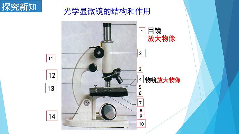 2.1.1练习使用显微镜课件    人教版七年级生物上册04