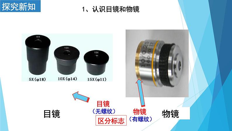 2.1.1练习使用显微镜课件    人教版七年级生物上册05