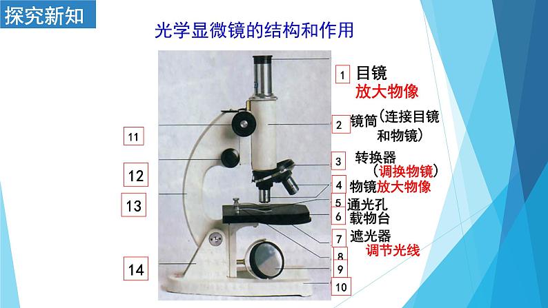 2.1.1练习使用显微镜课件    人教版七年级生物上册07