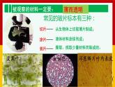 2.1.2植物细胞  课件   人教版七年级生物上册