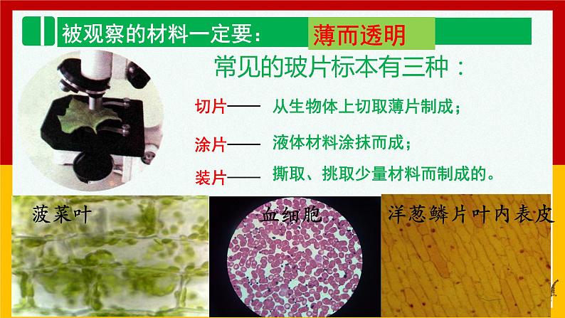 2.1.2植物细胞  课件   人教版七年级生物上册第3页