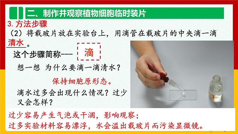 2.1.2植物细胞  课件   人教版七年级生物上册第7页